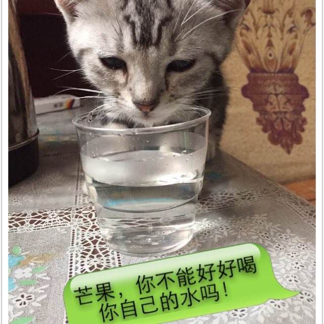开放大学毕业/证书哪里可以做